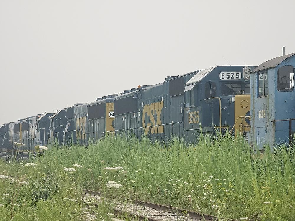 Diesel locomotives lined up in a yard